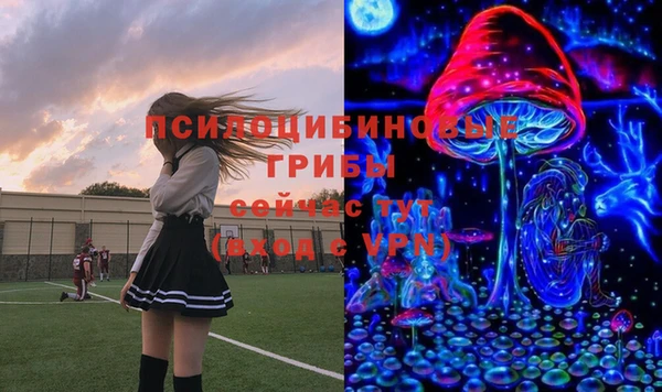 дмт Армянск