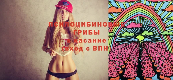 мяу мяу мука Аркадак