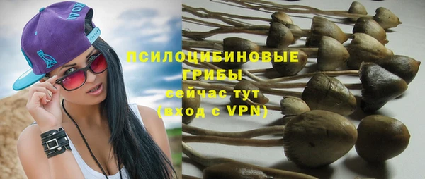синтетический гашиш Арсеньев