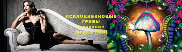 мяу мяу мука Аркадак