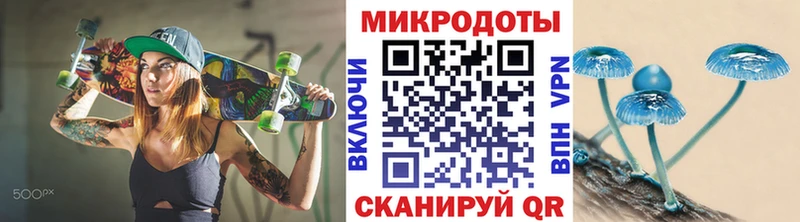 где купить   Жуков  Галлюциногенные грибы мицелий 